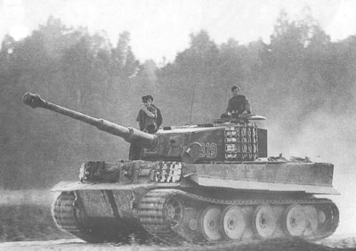 tiger_3[1].jpg