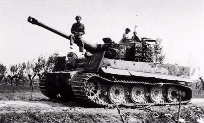 tiger_4[1].jpg
