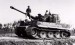 tiger_4[1].jpg